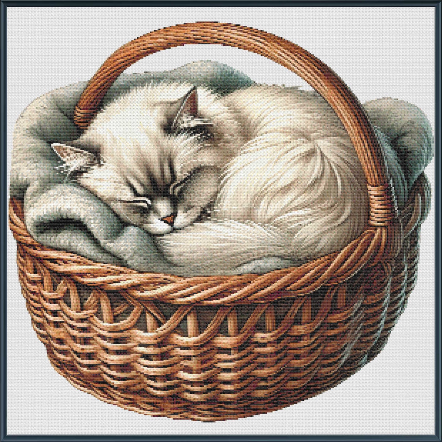 Cat in a Basket
