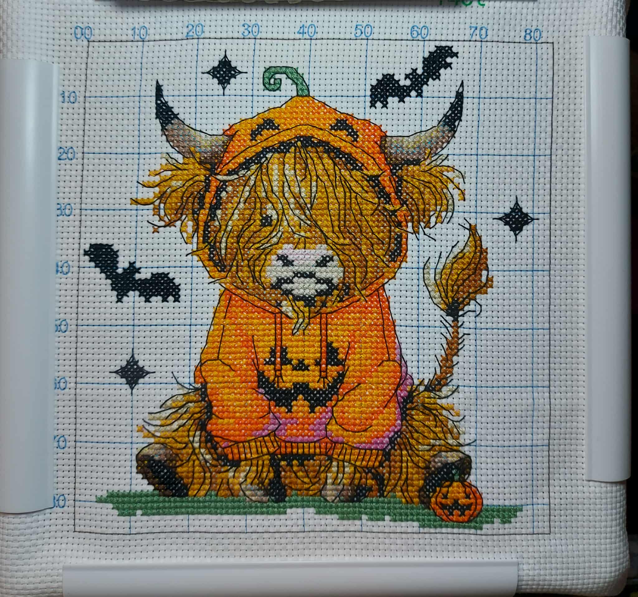 Highland Halloween Pumpkin