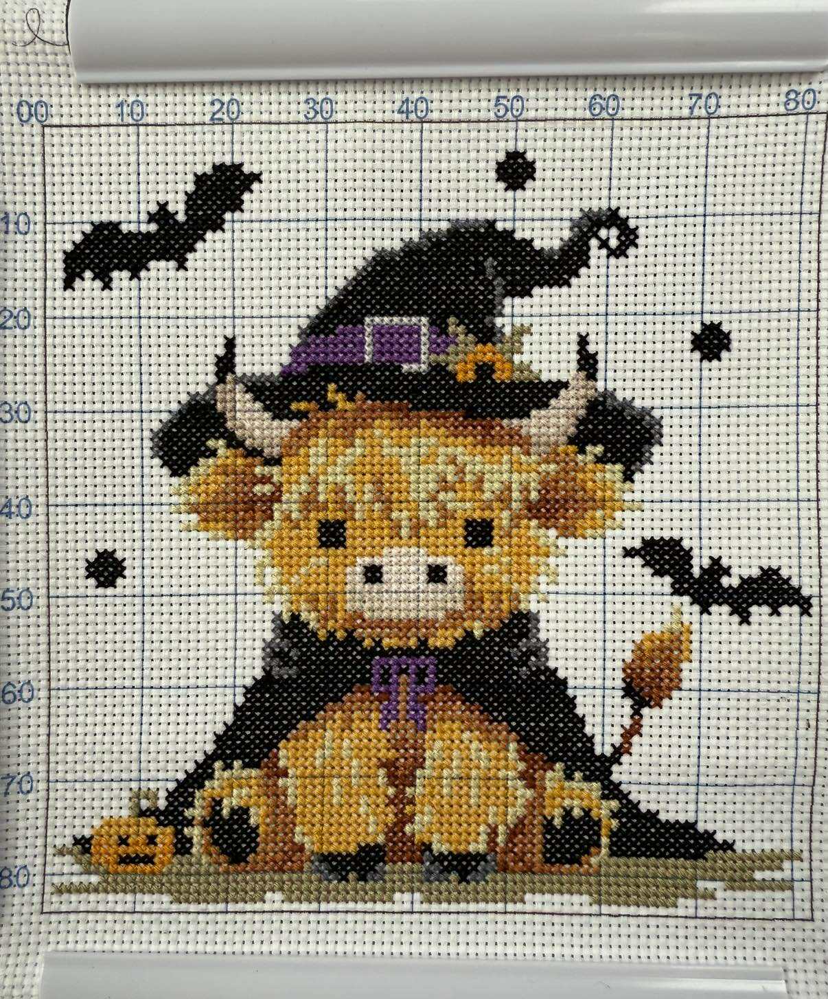 Highland Halloween Warlock