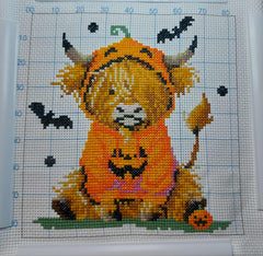Highland Halloween Pumpkin