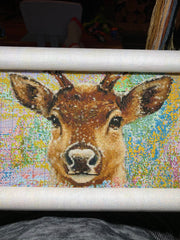 Antlers Of Light [Sun-0150]