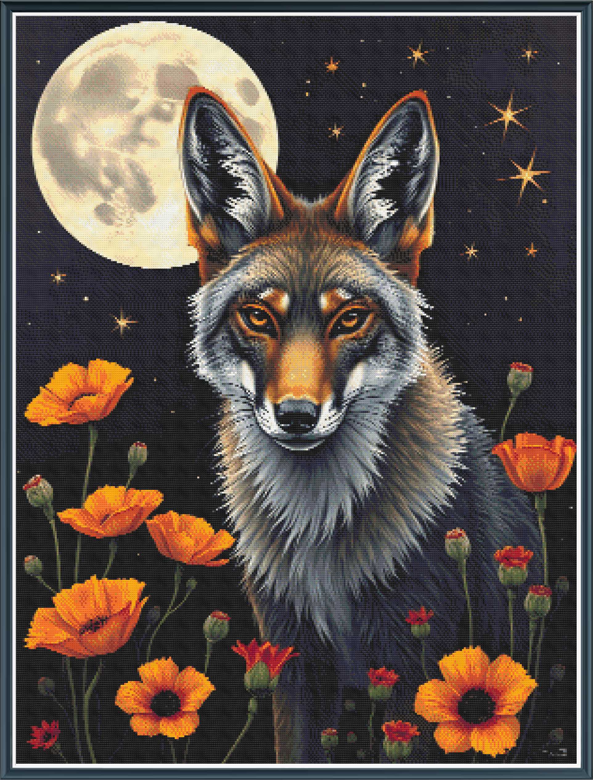 Coyote with Poppies pdf digital download