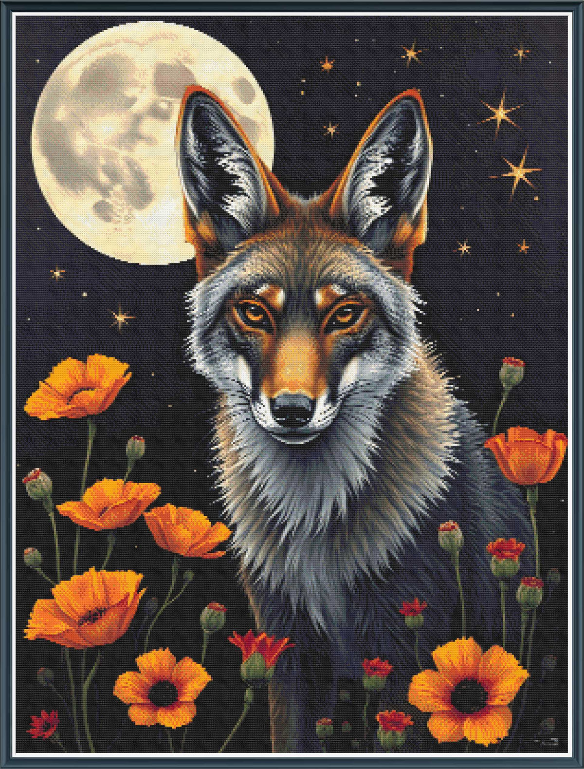 Coyote with Poppies pdf digital download