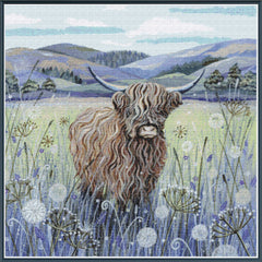 Highland Cow [Sun-0353]