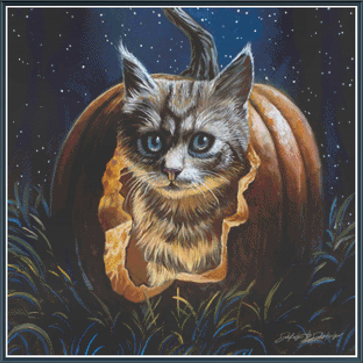 Hungry Halloween Kitty [sun-0231]