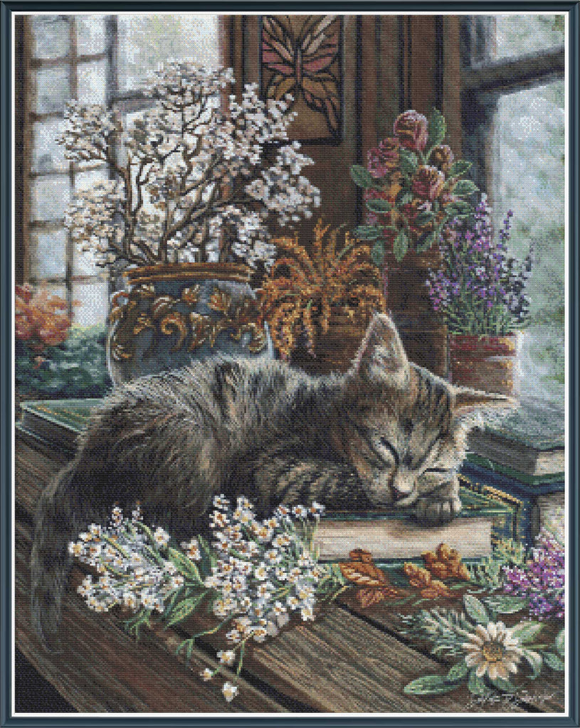 Napping Kitten [Sun-0230] – The Stamped Stitch Club