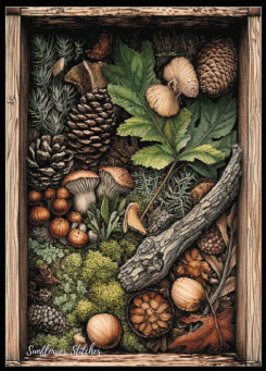 Nature's Treasure 1 - PDF Digital Download