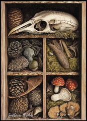 Nature's Treasure 2 - PDF Digital Download