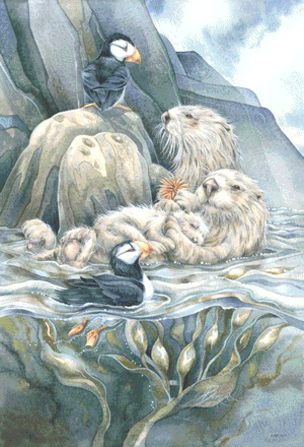Puffin with Love